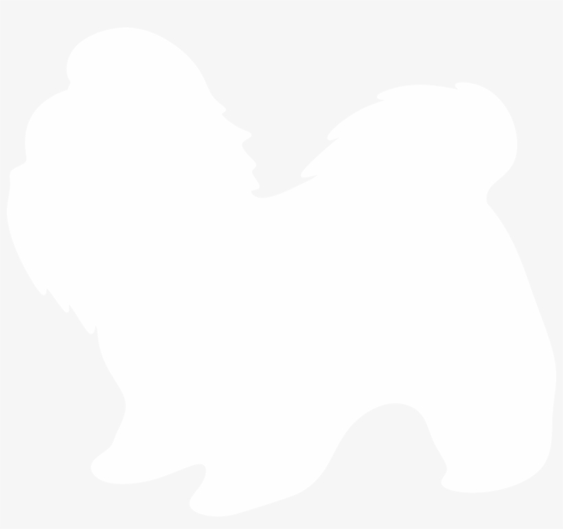 Shih Tzu Silhouette By Paperlightbox, transparent png