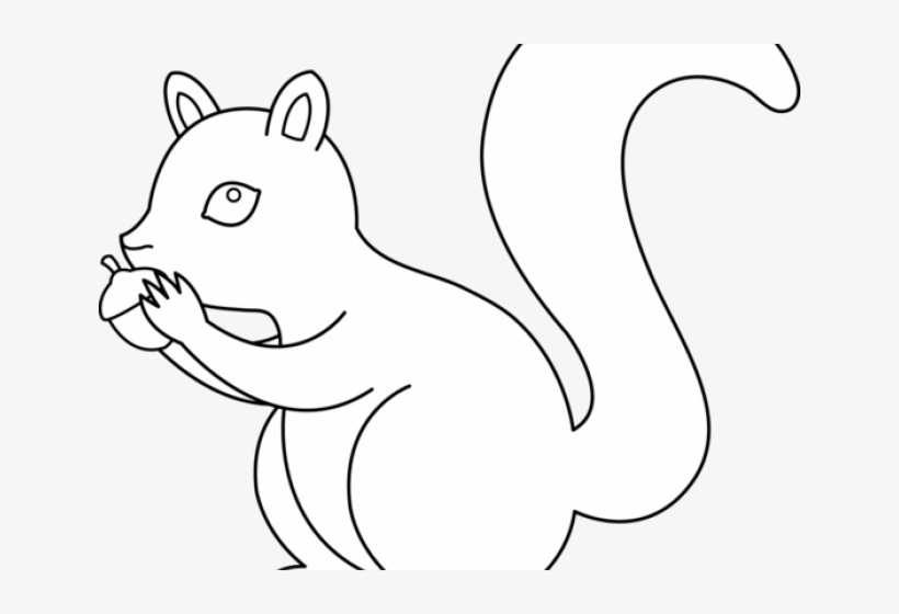 Gray Squirrel Clipart Nut - Drawing, transparent png