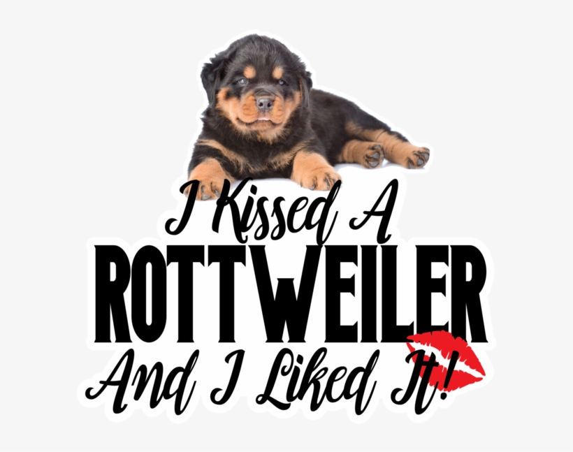 Companion Dog, transparent png