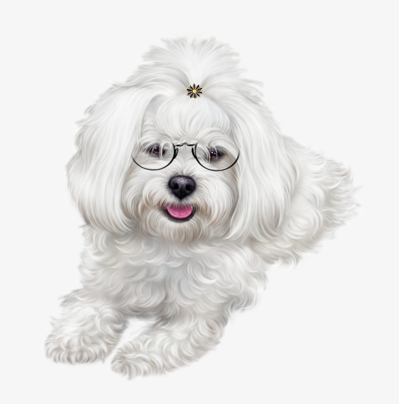 Puppy Clipart Maltipoo - Christmas Puppy Images Clipart, transparent png