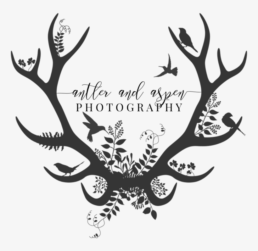 Reindeer Antlers Headband Png, transparent png