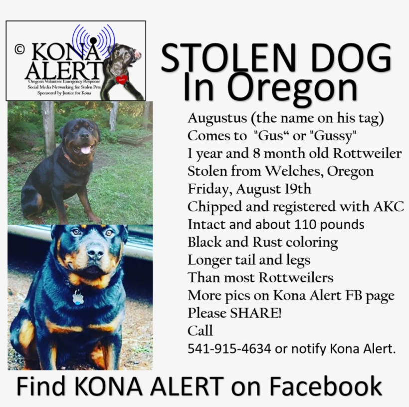 Carlisle College - Ancient Dog Breeds, transparent png