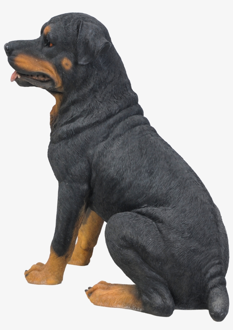 Rottweiler, transparent png