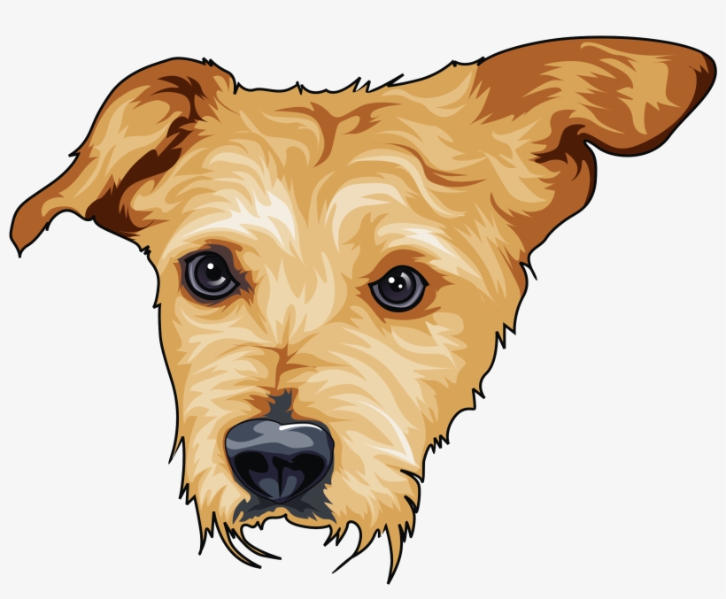 2614 X 2860 3 - Airedale Terrier, transparent png