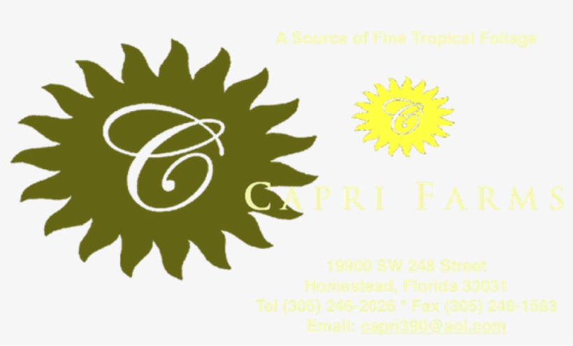 Cropped 600 Full Sun Header For Website Fotoflexer - Logo De Precio De Oferta, transparent png