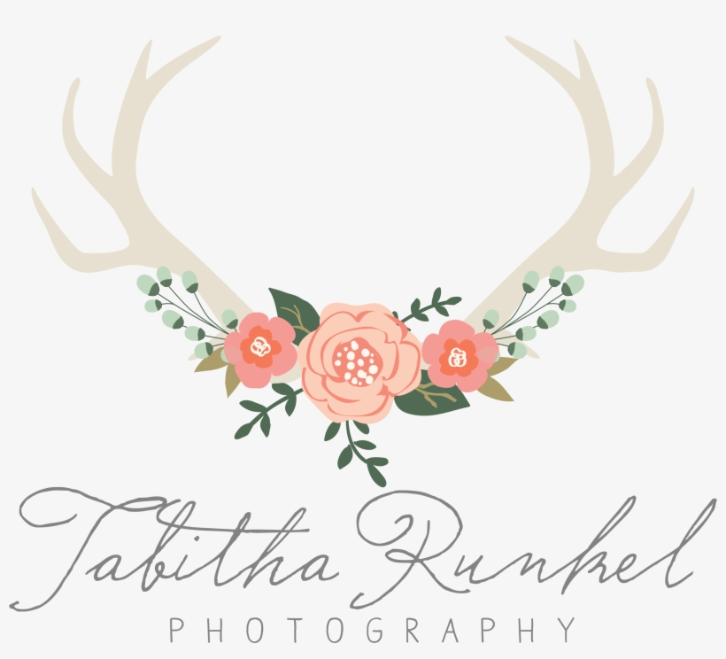 Antler, transparent png