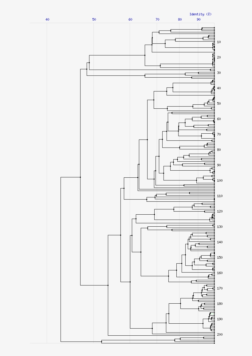 Tree For Family S6 - Diagram, transparent png