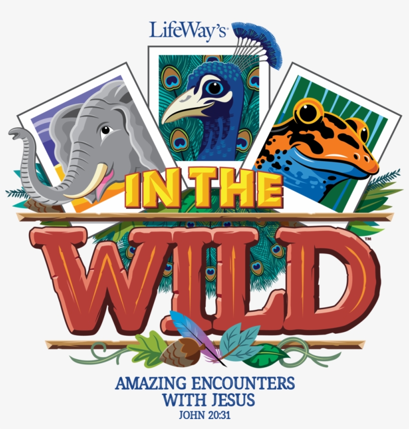 4c Marketing - Wild Vbs Clip Art, transparent png
