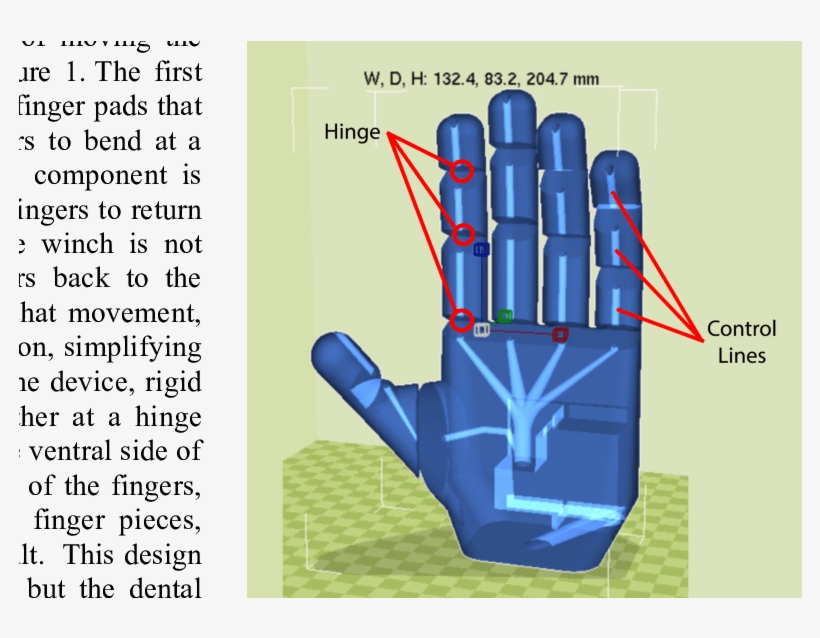 Design Of The Prosthetic Head - Diagram, transparent png
