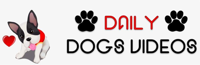 Black Paw, transparent png