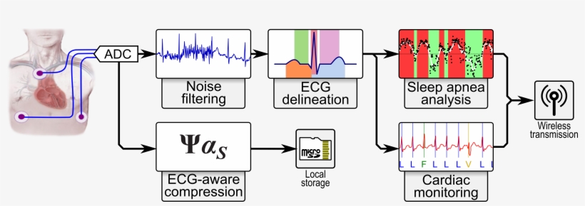Publications - Diagram, transparent png