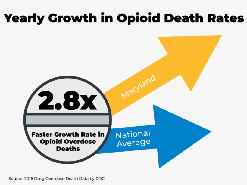 Website-increase - Something Special, transparent png