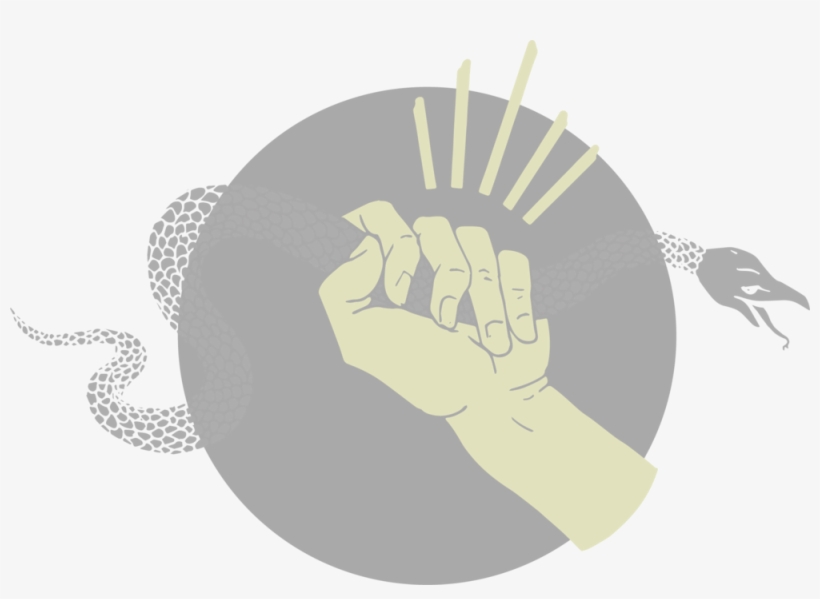 Hand Grabbing Snake 1@4x - Illustration, transparent png