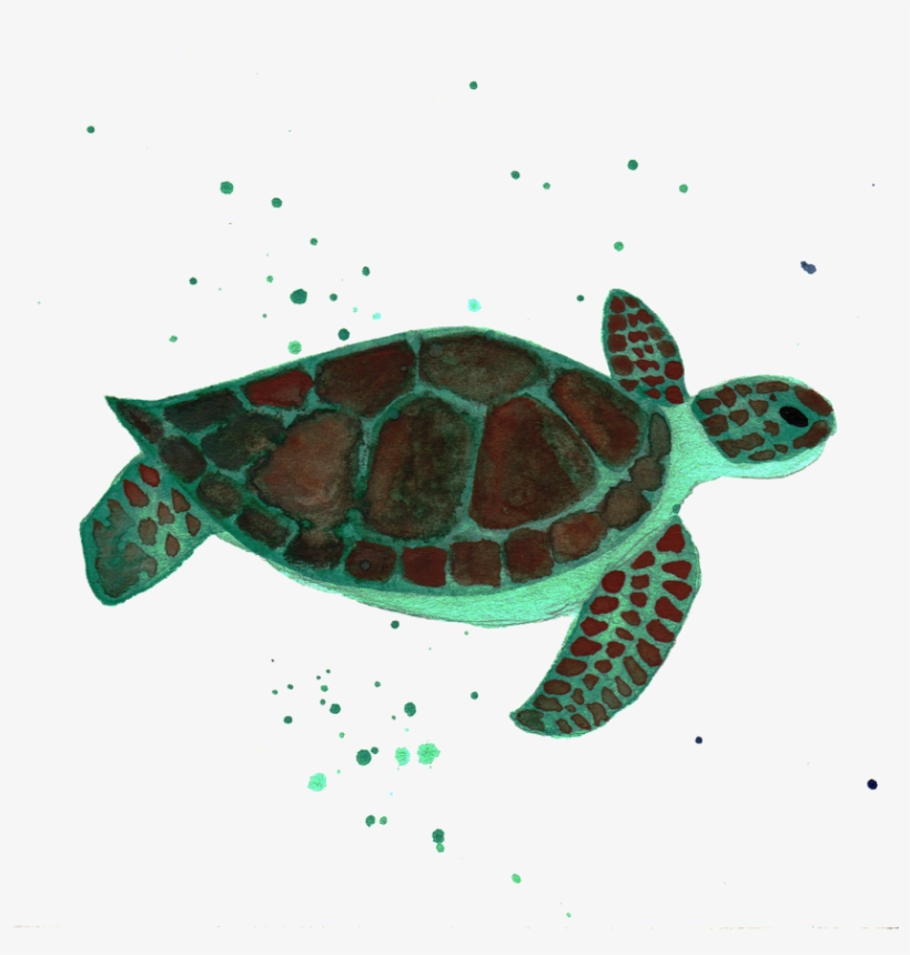 Turtle, Clip Art, Tortoise, Tortoise Turtle, Illustrations, - Kemp's Ridley Sea Turtle, transparent png