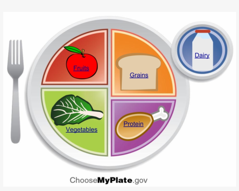Building A Healthy Plate - Circle, transparent png