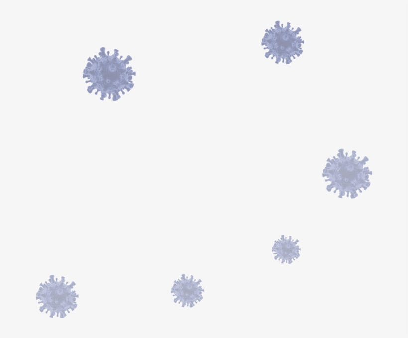 R - African Daisy, transparent png