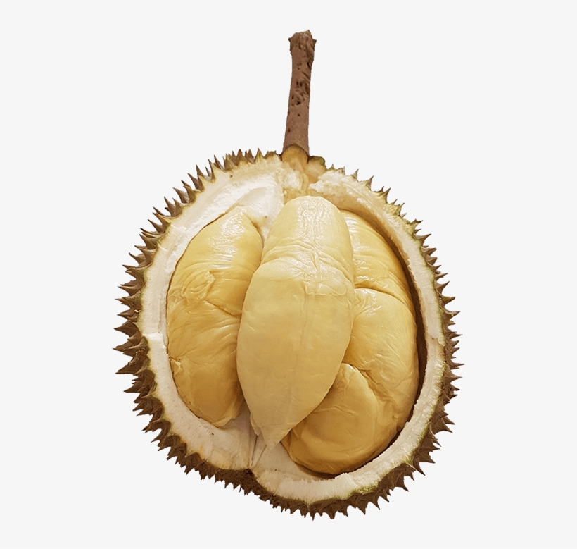 Reserve Your Durians - National Jr Beta, transparent png