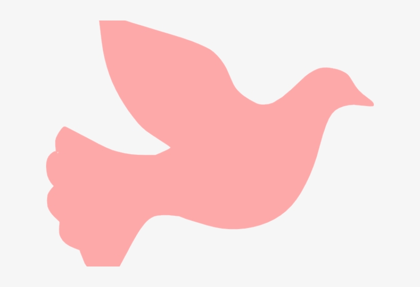 Dove Clipart Pink - Dove, transparent png