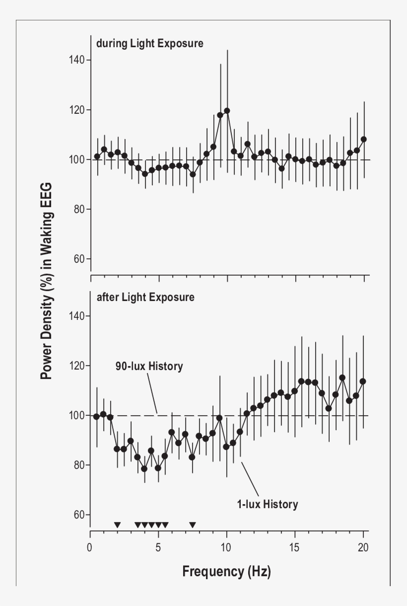 Effect Of Illuminance History On Waking Eeg Response - Diagram, transparent png