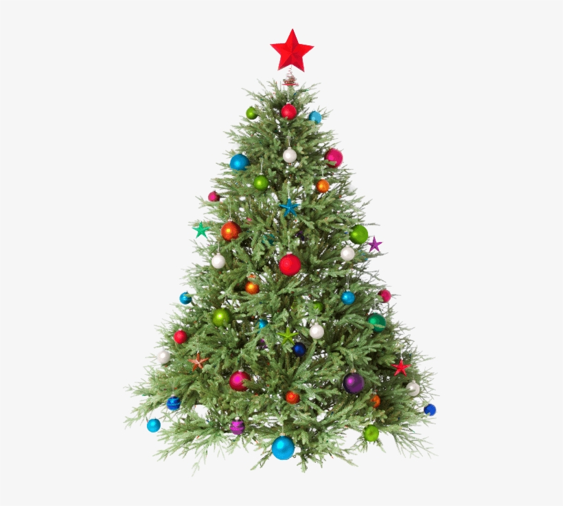 The Freshest Christmas Trees - Transparent Christmas Tree Png, transparent png