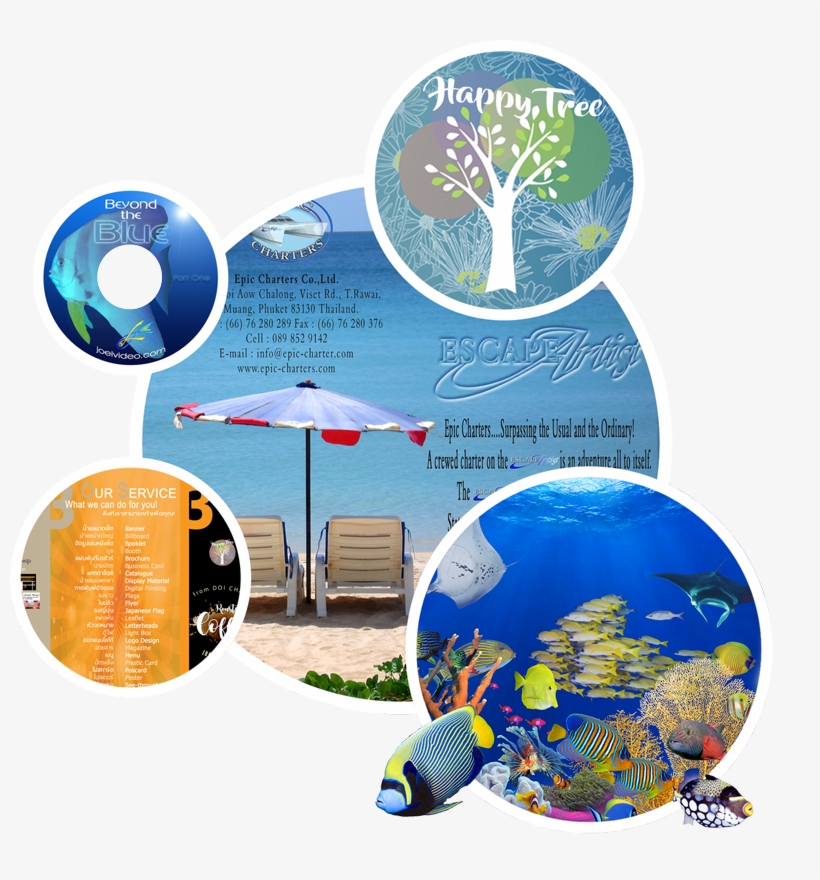 Soap Suds Homeschool - Cd, transparent png