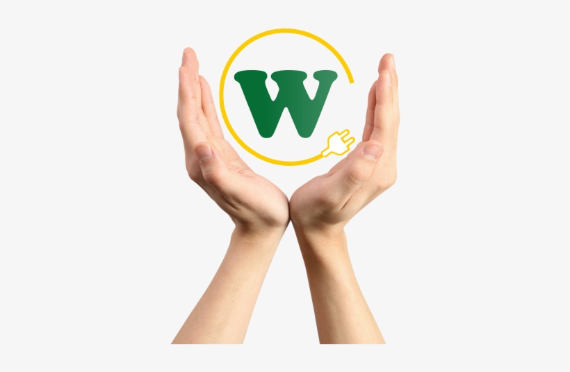 Dia Nacional Do Fisioterapeuta, transparent png