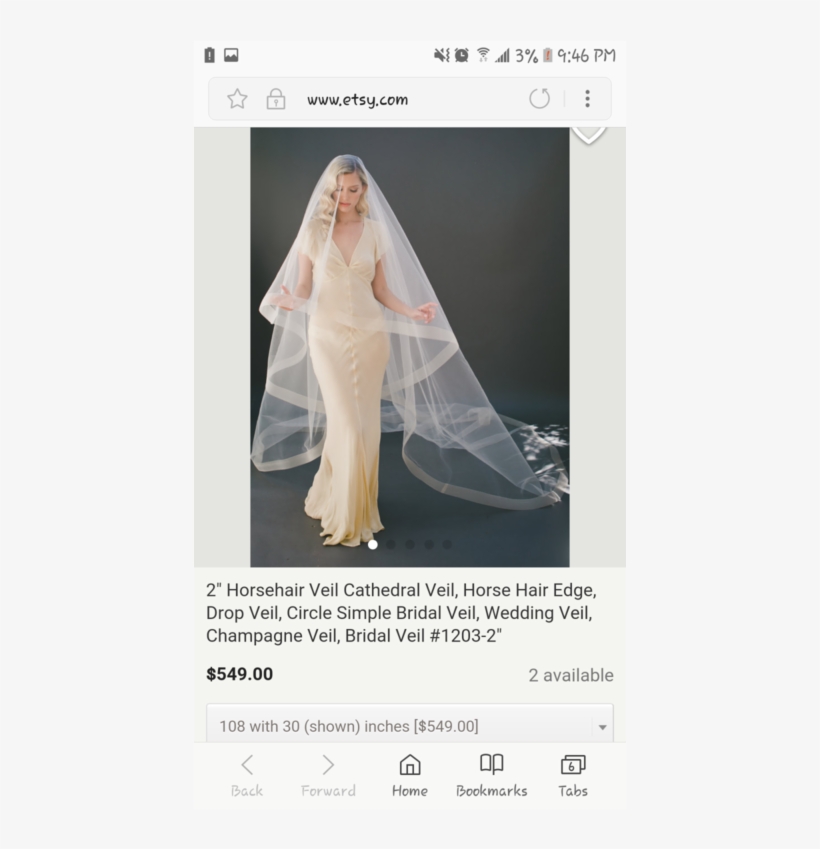 New Champagne Veil - Veil, transparent png