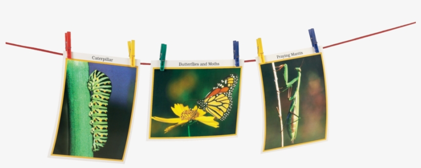 Classroom Clothesline Alternate Image B - Banner, transparent png