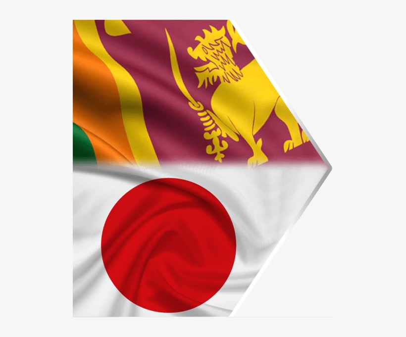 Sri Lanka Automobile Association In Japan Image - Sri Lanka Cricket Team Flag, transparent png