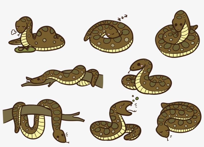 Anaconda Cartoon Vector - Anaconda Animadas Png, transparent png