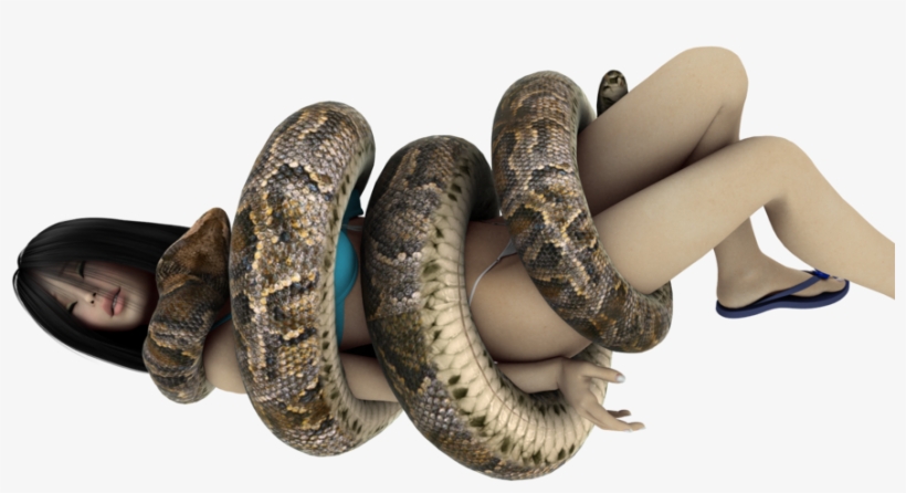 Snake Giant Anaconda Digital Art - Anaconda Snake Png, transparent png