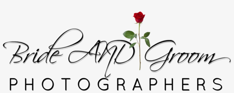 Brideandgroom - Happy Birthday, transparent png