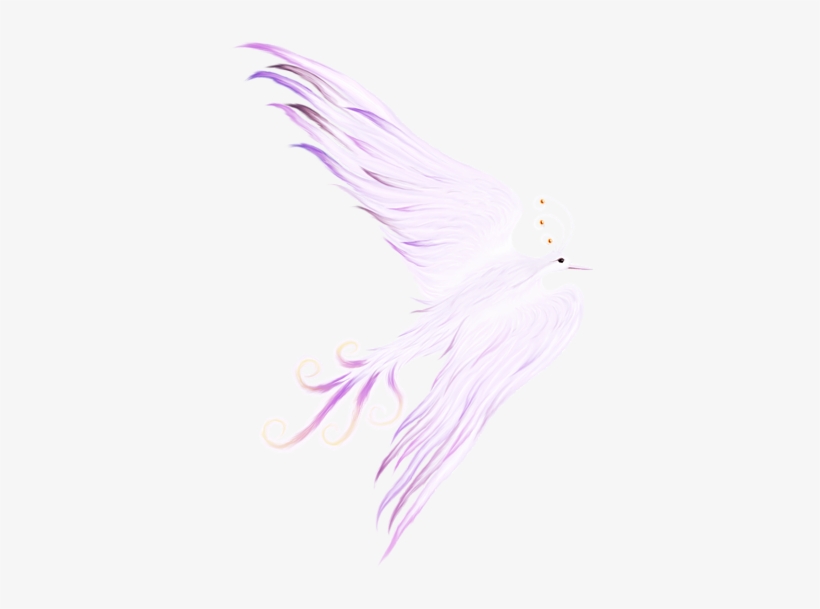 Bleed Area May Not Be Visible - Illustration, transparent png