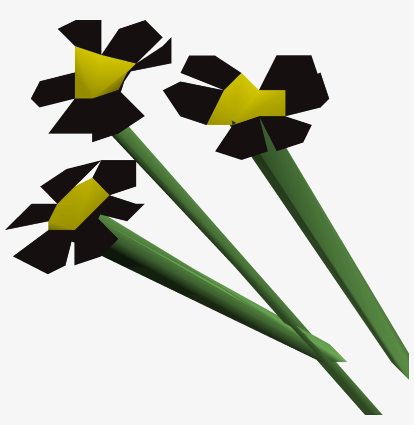Clip Art, transparent png