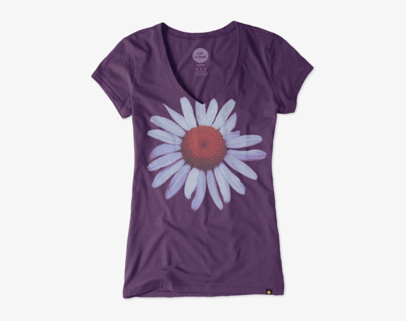 Images - African Daisy, transparent png