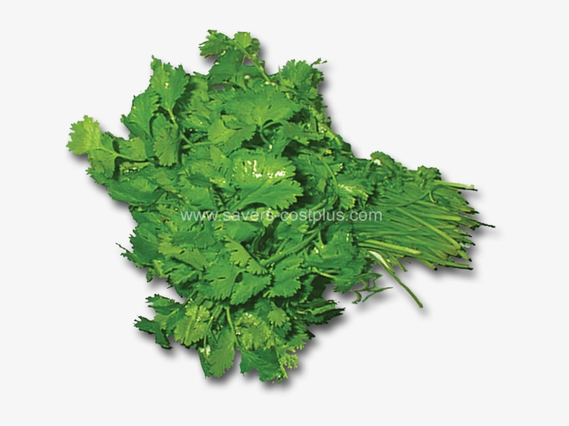 Estos Son Algunos De Los Productos Que Puede Encontar - Parsley, transparent png