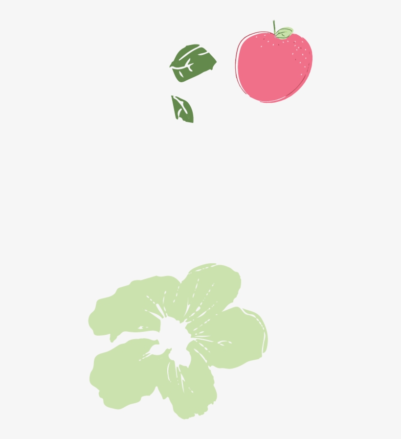Hibiscus, transparent png