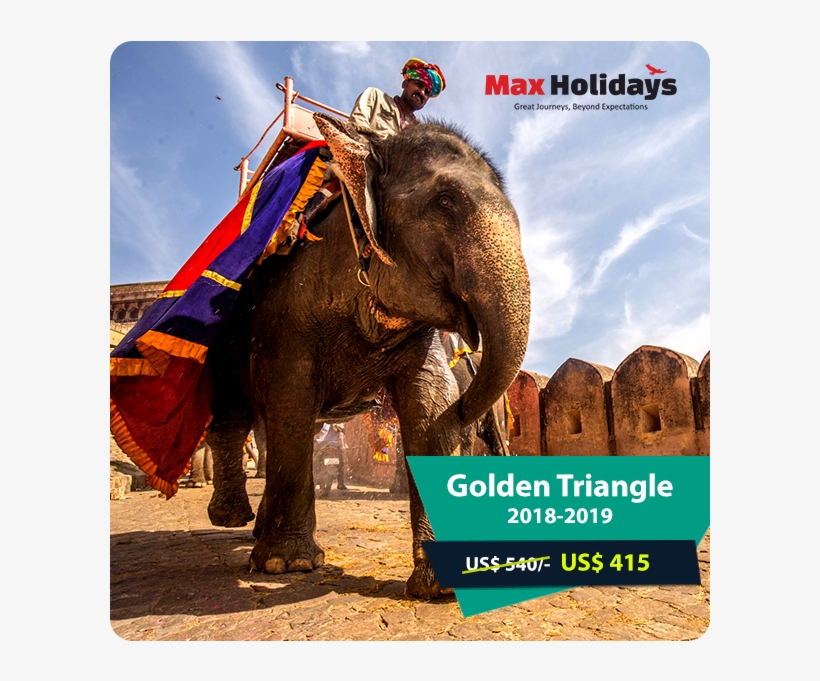 Indian Elephant, transparent png