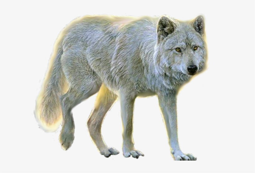 Animals Png For Photoshop, transparent png