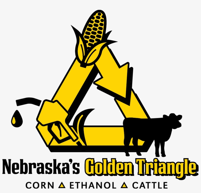 Nebraska Corn Kernels, transparent png