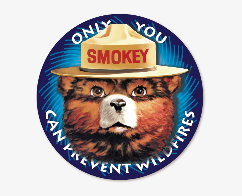 Additional Information - Smokey The Bear, transparent png