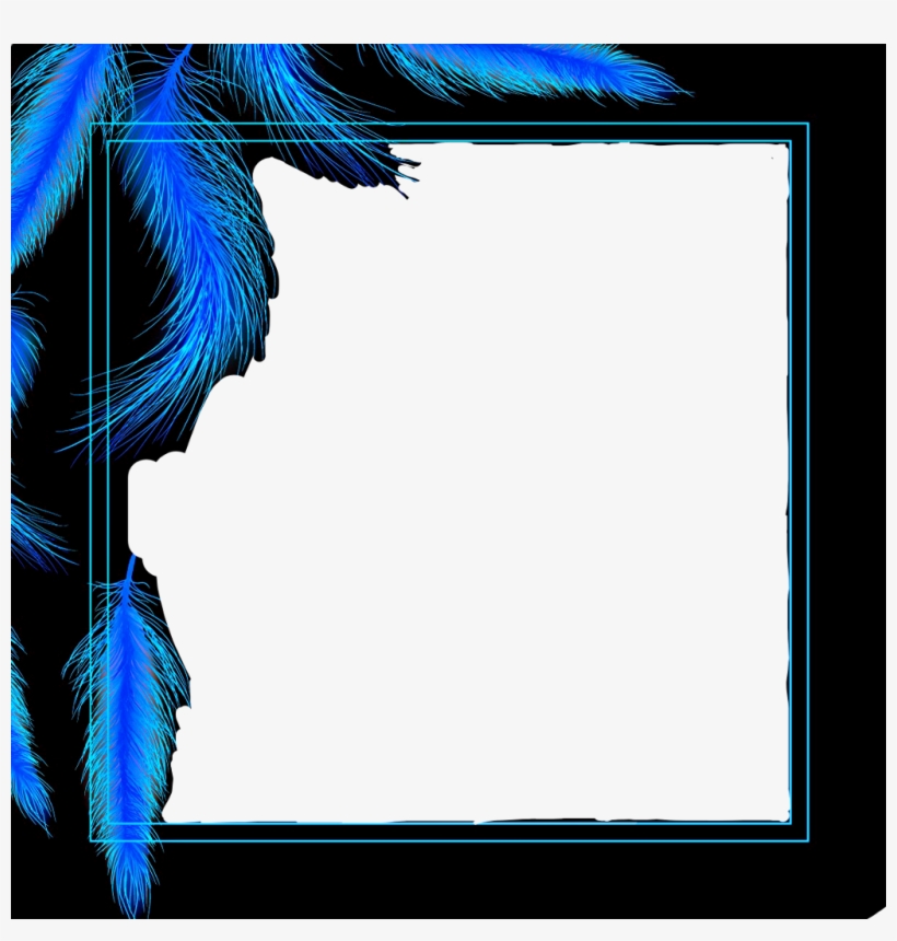 Frame Remixed Blue Black Feathers - Graphic Design, transparent png