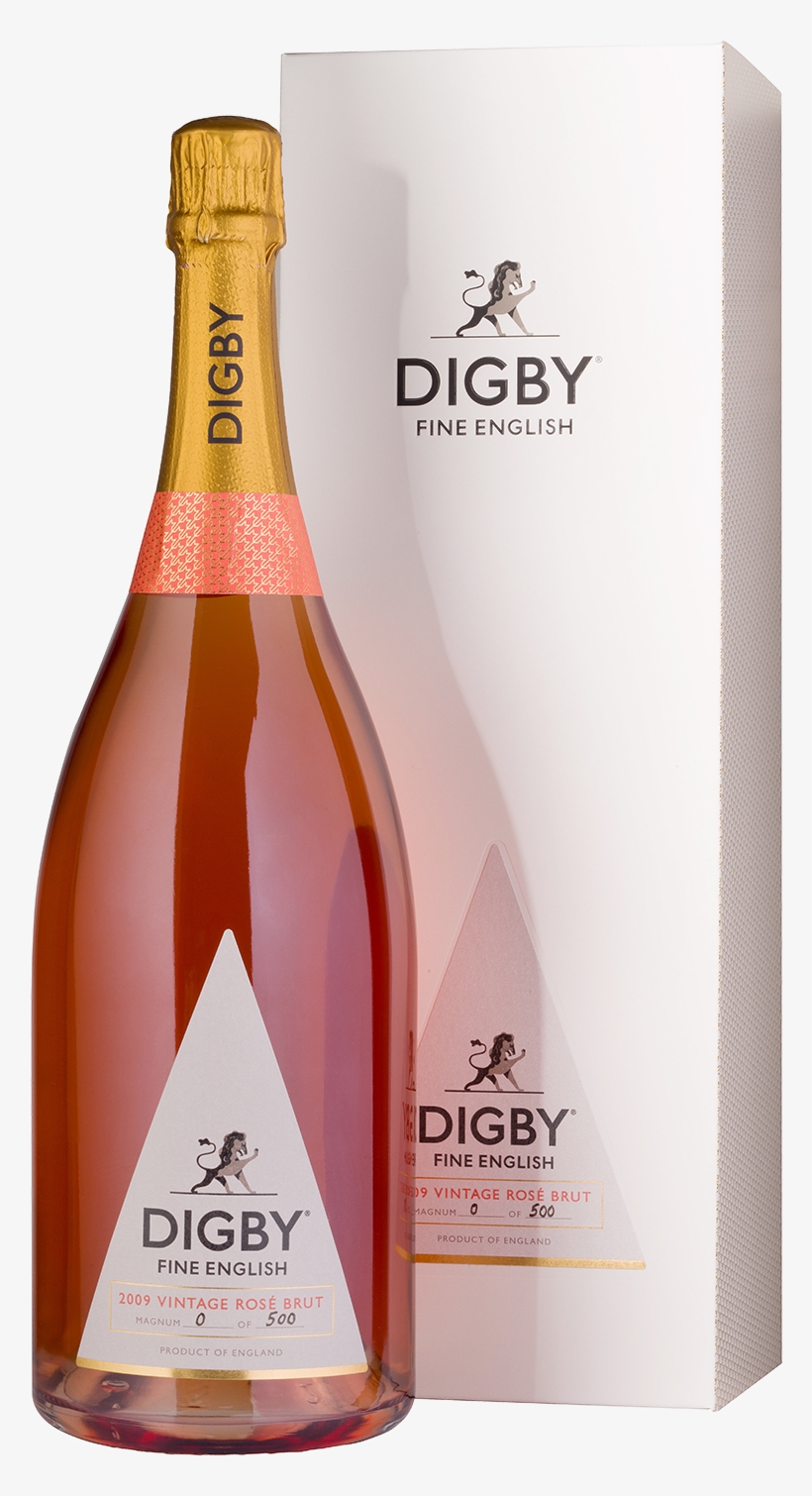 2009 Vintage Rosé Brut Magnum - Champagne, transparent png