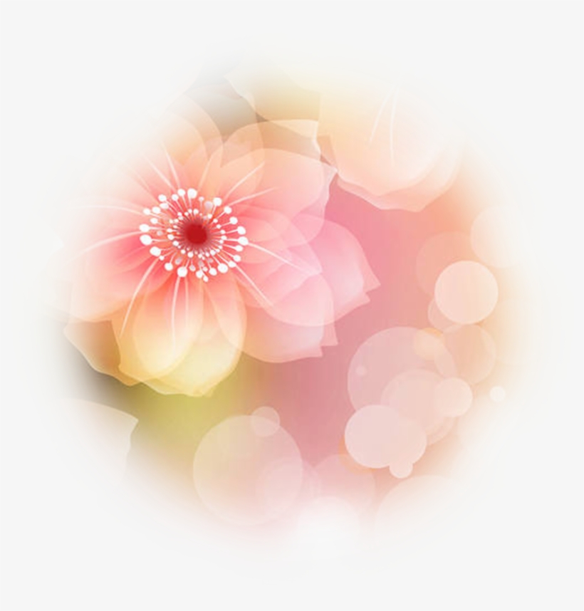 Point Of Light Png - Barberton Daisy, transparent png