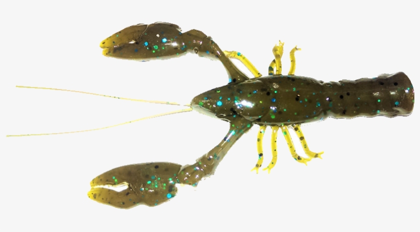 64 Green Pumpkin Las - American Lobster, transparent png