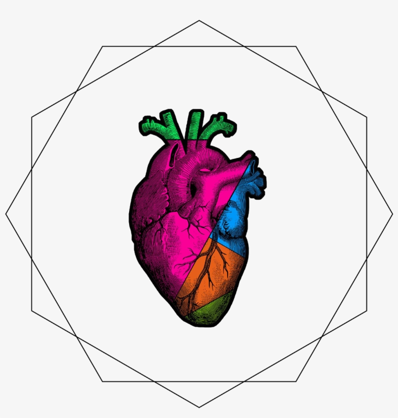 Illustration, transparent png