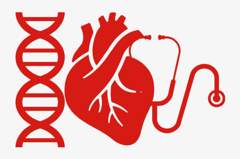 Research, transparent png
