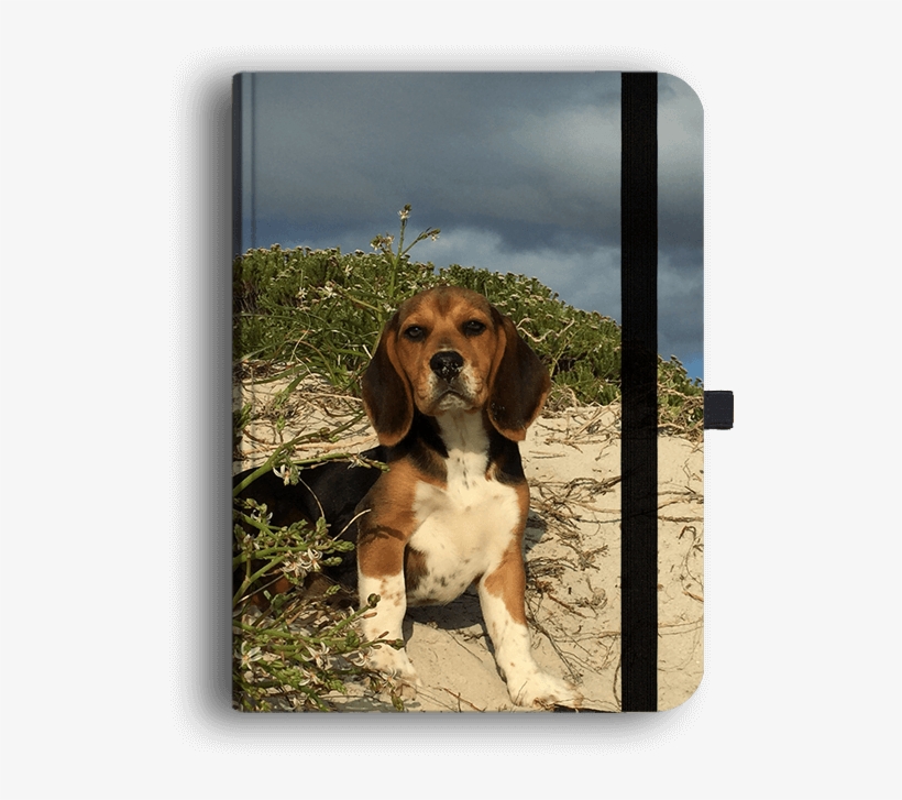 Picture Of Beagle Luxury Journal - Beagle-harrier, transparent png