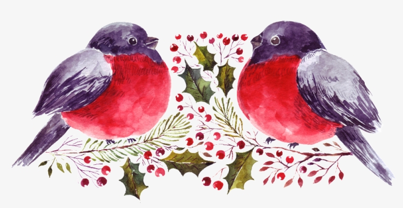 Dos Adornos De Aves - Eastern Bluebird, transparent png