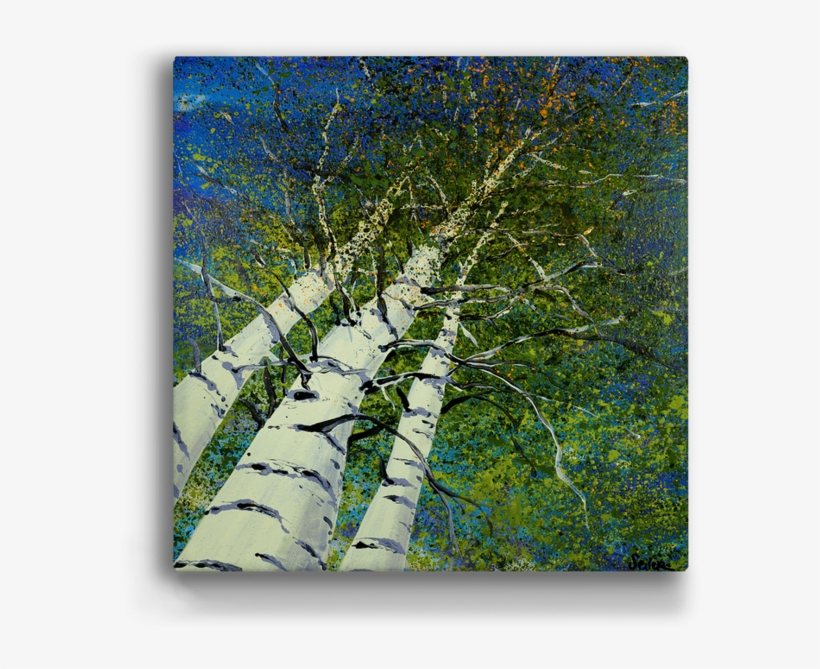 "skyward Aspen Trees" Metal Art (a10bx-lsky) - Birch, transparent png